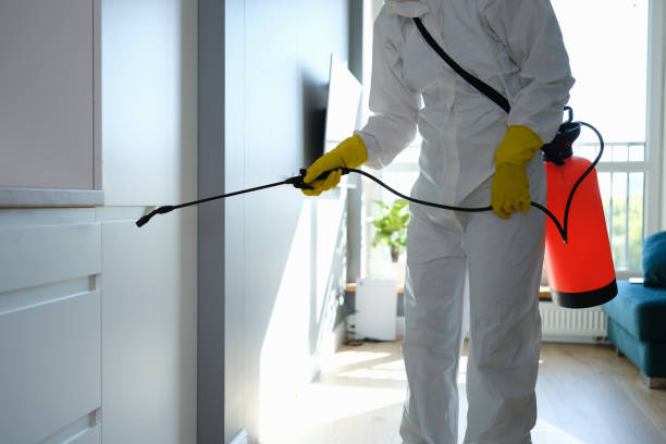 Best Industrial Mold Remediation in San Diego, CA