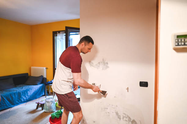 Best Crawl Space Mold Remediation in San Diego, CA